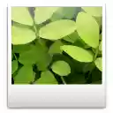 aaaaaa by.tochpc.ru  screen for extension Chrome web store in OffiDocs Chromium