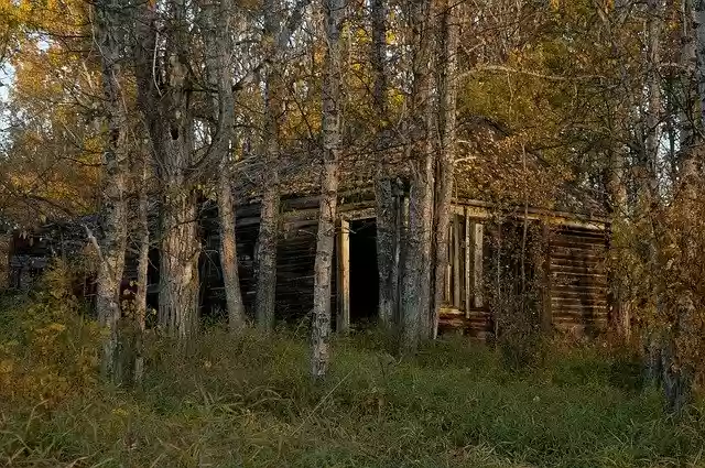 Free download Abandoned Cabin Wood -  free photo or picture to be edited with GIMP online image editor