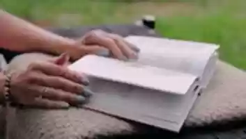 Free download abejas free photo or picture to be edited with GIMP online image editor