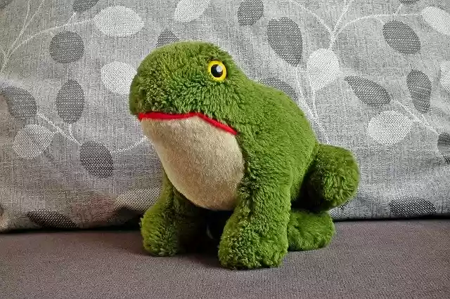 Free download Żabka Toy Plush -  free free photo or picture to be edited with GIMP online image editor