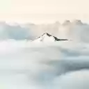 Above the Clouds  screen for extension Chrome web store in OffiDocs Chromium