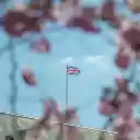 A british flag flies over the palace of london  screen for extension Chrome web store in OffiDocs Chromium