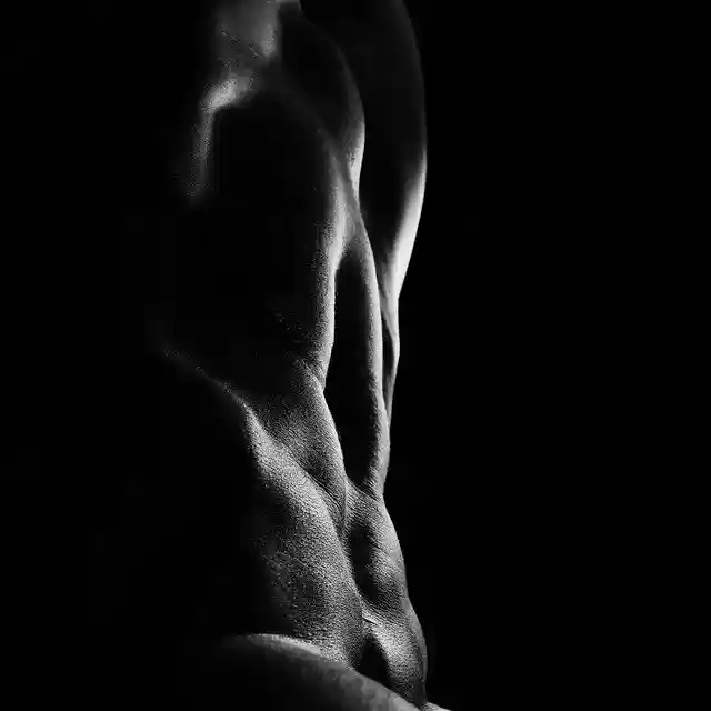 Free download abs nude bodyscape gym gymbunny free picture to be edited with GIMP free online image editor