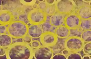 Free download Abstract 1 _ Kathryn free photo or picture to be edited with GIMP online image editor