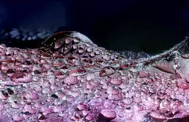 Free download abstract art artistic arty autumn free picture to be edited with GIMP free online image editor