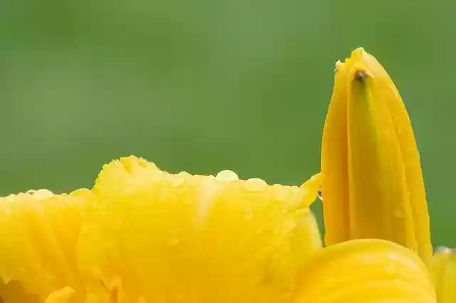 Free download Abstract Background Beauty -  free photo or picture to be edited with GIMP online image editor