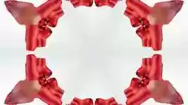 Free download Abstract Motion Backgrounds -  free video to be edited with OpenShot online video editor