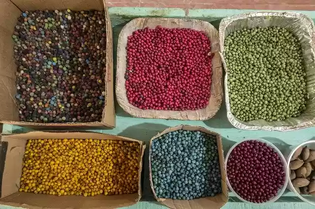 Free download Acai Seeds Crafts -  free free photo or picture to be edited with GIMP online image editor