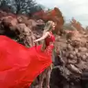 এক্সটেনশনের জন্য প্রশান্তি এবং কমনীয়তার একটি মনোমুগ্ধকর থিম স্ক্রিন OffiDocs-এ Chrome ওয়েব স্টোর Chromium