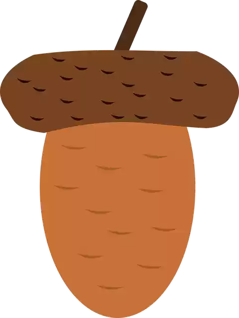 Free download Acorn Oak Autumn - Free vector graphic on Pixabay free illustration to be edited with GIMP free online image editor