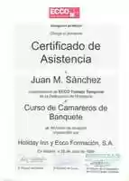 Free download ADECCO Camarero Banquetes 001 free photo or picture to be edited with GIMP online image editor