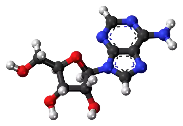 Free download Adenosine Deoxyribonucleoside -  free illustration to be edited with GIMP free online image editor