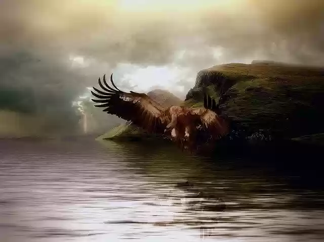 Free download Adler Water Mountains -  free illustration to be edited with GIMP free online image editor