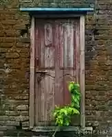 Free download Aesthetic old door free photo or picture to be edited with GIMP online image editor