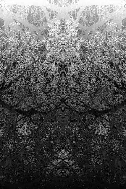 Free download Aesthetic White Black -  free illustration to be edited with GIMP free online image editor