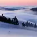A foggy landscape with trees and mountains  screen for extension Chrome web store in OffiDocs Chromium