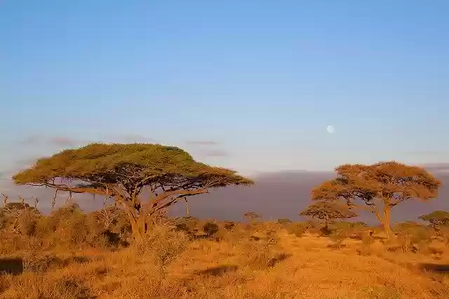Free download Africa Kilimanjaro Kenya -  free photo or picture to be edited with GIMP online image editor