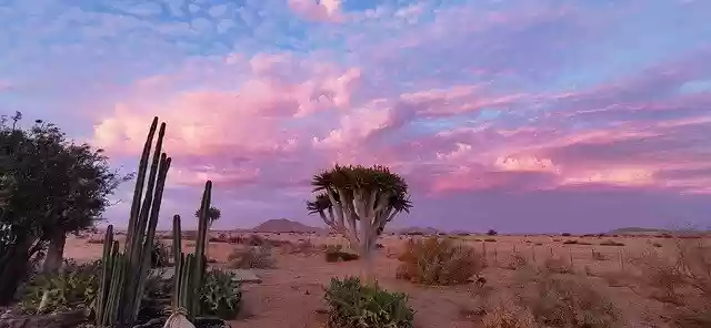 Free download Africa Namibia Skeleton Coast -  free free photo or picture to be edited with GIMP online image editor