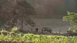 Free download Afternoon Eventide Landscape -  free video to be edited with OpenShot online video editor