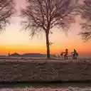 Afternoon sunset  screen for extension Chrome web store in OffiDocs Chromium