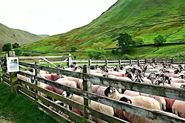Free download Agriculture Farm Nature -  free illustration to be edited with GIMP free online image editor