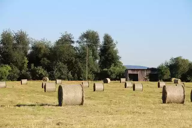 Free download Agriculture Nature Round Bales -  free photo or picture to be edited with GIMP online image editor