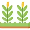 Agro Mark Net  screen for extension Chrome web store in OffiDocs Chromium