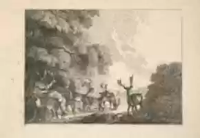 मुफ्त डाउनलोड स्टैग्स ड्रिंकिंग का एक समूह (आधुनिक चित्रों की नकल से) मुफ्त फोटो या तस्वीर को जीआईएमपी ऑनलाइन छवि संपादक के साथ संपादित किया जाना है