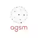 AGSM Dev Tools  screen for extension Chrome web store in OffiDocs Chromium