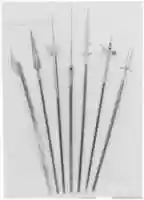 Free download Ahlspiess free photo or picture to be edited with GIMP online image editor