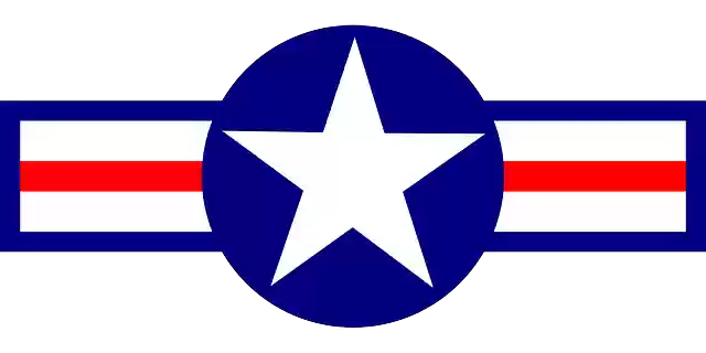 Free download Air Blue Military - Free vector graphic on Pixabay free illustration to be edited with GIMP free online image editor