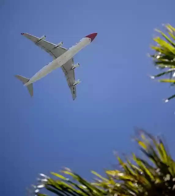 Free download aircraft palm tree take off free picture to be edited with GIMP free online image editor