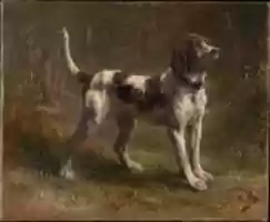 Free download A Limier Briquet Hound free photo or picture to be edited with GIMP online image editor