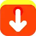 AliSave Pro AliExpress Images Downloader  screen for extension Chrome web store in OffiDocs Chromium