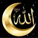 Allah  Crescent Live Wallpaper  screen for extension Chrome web store in OffiDocs Chromium