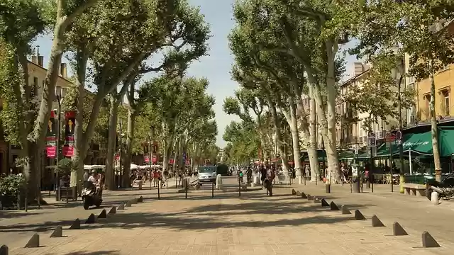 Free download alley city street plane trees free picture to be edited with GIMP free online image editor