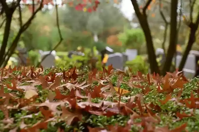 Free download All Saints Dead Commemorate -  free photo or picture to be edited with GIMP online image editor