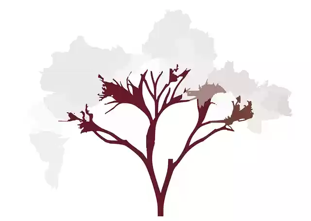 Free download Almond Tree Bush - Free vector graphic on Pixabay free illustration to be edited with GIMP free online image editor