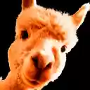 Alpaca  screen for extension Chrome web store in OffiDocs Chromium