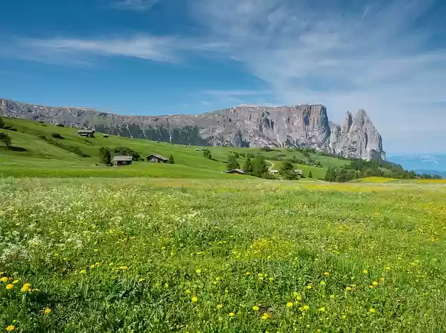 Free download alpine meadow mountains learn free picture to be edited with GIMP free online image editor