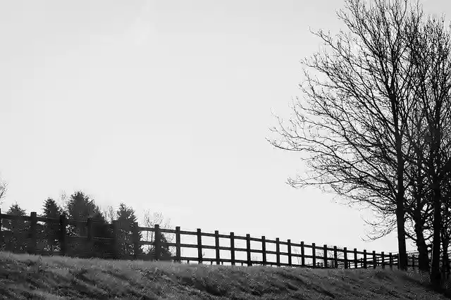 Free download Amazing Nature B And W Beautiful -  free photo or picture to be edited with GIMP online image editor