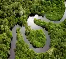 Free download amazonia1 free photo or picture to be edited with GIMP online image editor