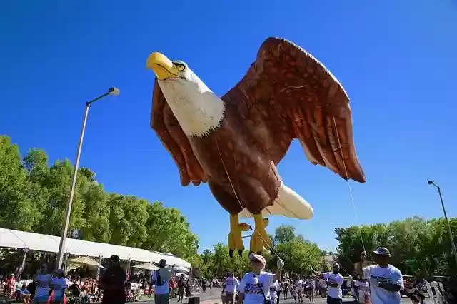 Free download America Eagle July 4 -  free free photo or picture to be edited with GIMP online image editor