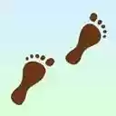 Americas Footprints A memoir of your life  screen for extension Chrome web store in OffiDocs Chromium