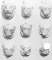 Free download Amulet, lion head free photo or picture to be edited with GIMP online image editor