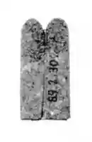 Free download Amulet: plumes free photo or picture to be edited with GIMP online image editor