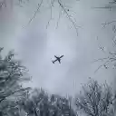 An airplane flying through the trees in a cloudy sky  screen for extension Chrome web store in OffiDocs Chromium