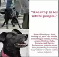 Free download anarchy white people free photo or picture to be edited with GIMP online image editor