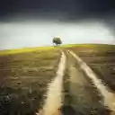 Ancient countrysidetrail  screen for extension Chrome web store in OffiDocs Chromium