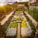 Ancient flower garden  screen for extension Chrome web store in OffiDocs Chromium